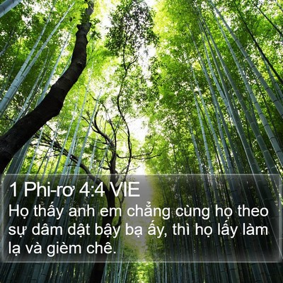1 Phi-rơ 4:4 VIE Bible Verse Image