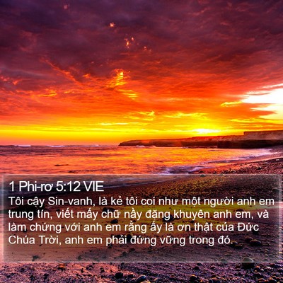 1 Phi-rơ 5:12 VIE Bible Verse Image