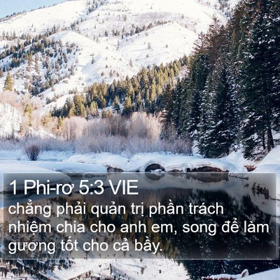 1 Phi-rơ 5:3 VIE Bible Verse Image