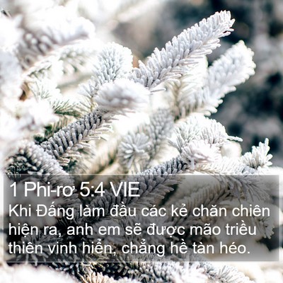 1 Phi-rơ 5:4 VIE Bible Verse Image