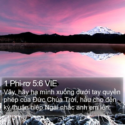 1 Phi-rơ 5:6 VIE Bible Verse Image