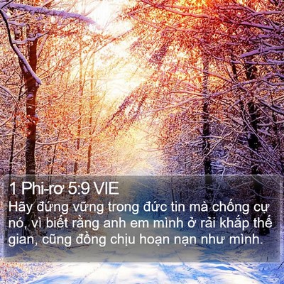 1 Phi-rơ 5:9 VIE Bible Verse Image