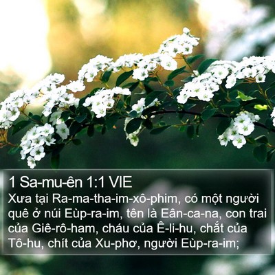 1 Sa-mu-ên 1:1 VIE Bible Verse Image
