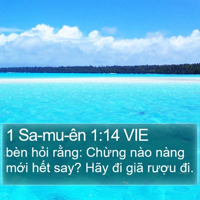 1 Sa-mu-ên 1:14 VIE Bible Verse Image
