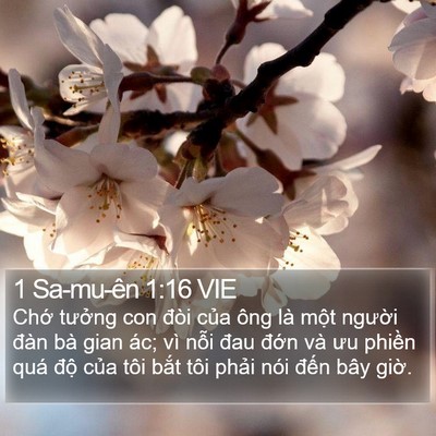 1 Sa-mu-ên 1:16 VIE Bible Verse Image