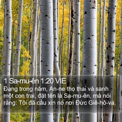 1 Sa-mu-ên 1:20 VIE Bible Verse Image