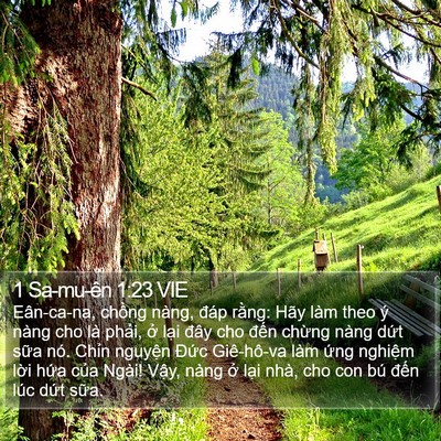 1 Sa-mu-ên 1:23 VIE Bible Verse Image
