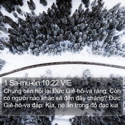 1 Sa-mu-ên 10:22 VIE Bible Verse Image