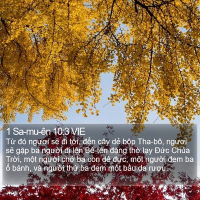 1 Sa-mu-ên 10:3 VIE Bible Verse Image
