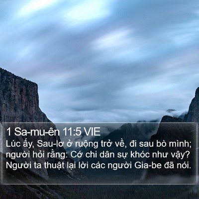 1 Sa-mu-ên 11:5 VIE Bible Verse Image