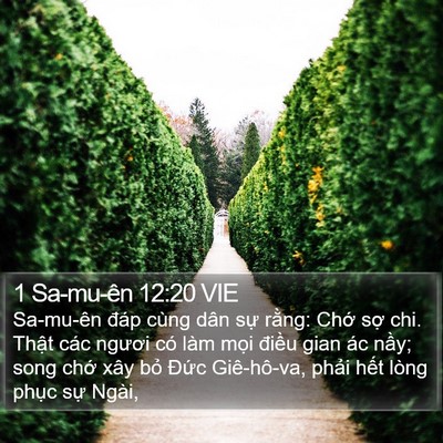 1 Sa-mu-ên 12:20 VIE Bible Verse Image