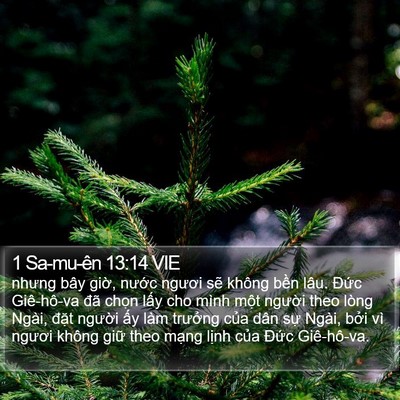 1 Sa-mu-ên 13:14 VIE Bible Verse Image