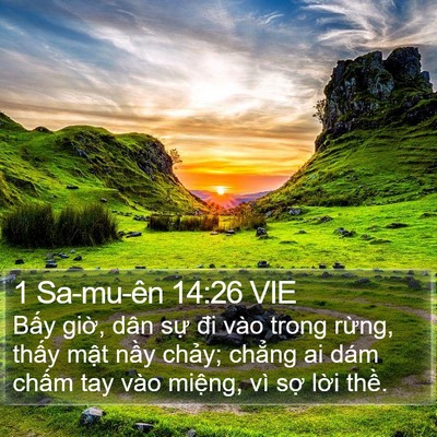 1 Sa-mu-ên 14:26 VIE Bible Verse Image