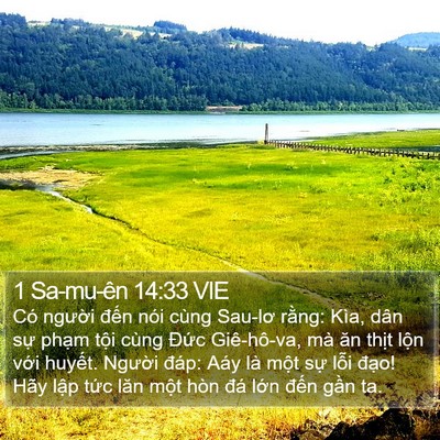 1 Sa-mu-ên 14:33 VIE Bible Verse Image