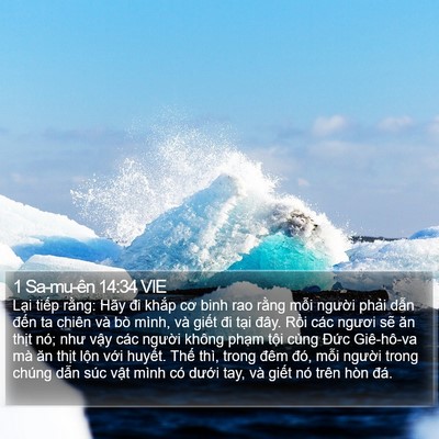 1 Sa-mu-ên 14:34 VIE Bible Verse Image