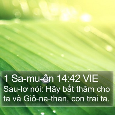 1 Sa-mu-ên 14:42 VIE Bible Verse Image