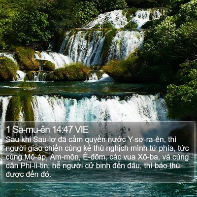 1 Sa-mu-ên 14:47 VIE Bible Verse Image