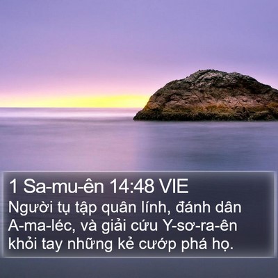 1 Sa-mu-ên 14:48 VIE Bible Verse Image