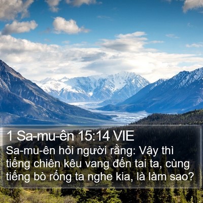 1 Sa-mu-ên 15:14 VIE Bible Verse Image