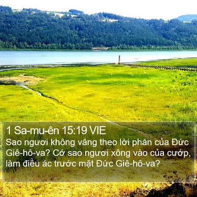 1 Sa-mu-ên 15:19 VIE Bible Verse Image