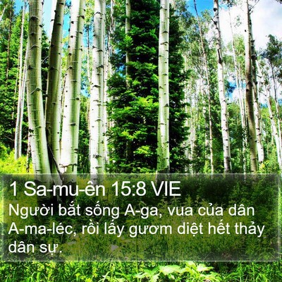 1 Sa-mu-ên 15:8 VIE Bible Verse Image