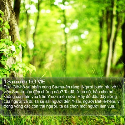 1 Sa-mu-ên 16:1 VIE Bible Verse Image