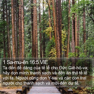 1 Sa-mu-ên 16:5 VIE Bible Verse Image