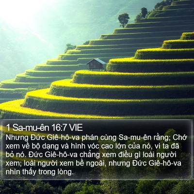 1 Sa-mu-ên 16:7 VIE Bible Verse Image