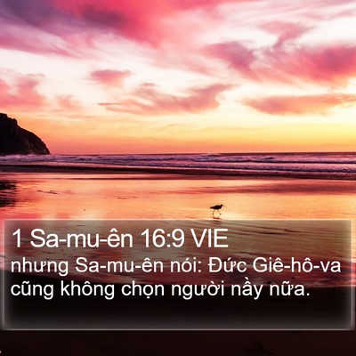 1 Sa-mu-ên 16:9 VIE Bible Verse Image