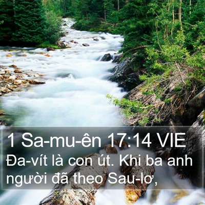 1 Sa-mu-ên 17:14 VIE Bible Verse Image