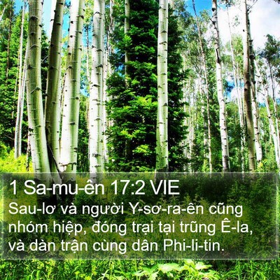 1 Sa-mu-ên 17:2 VIE Bible Verse Image