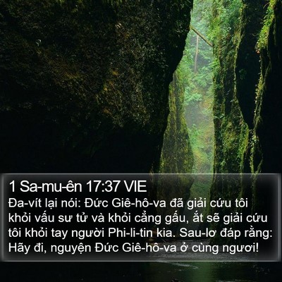 1 Sa-mu-ên 17:37 VIE Bible Verse Image