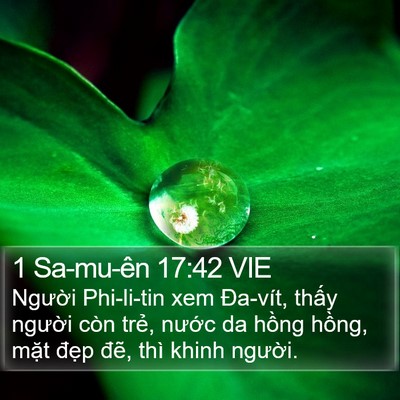 1 Sa-mu-ên 17:42 VIE Bible Verse Image