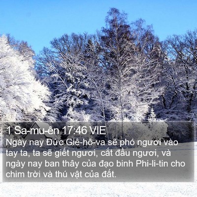 1 Sa-mu-ên 17:46 VIE Bible Verse Image