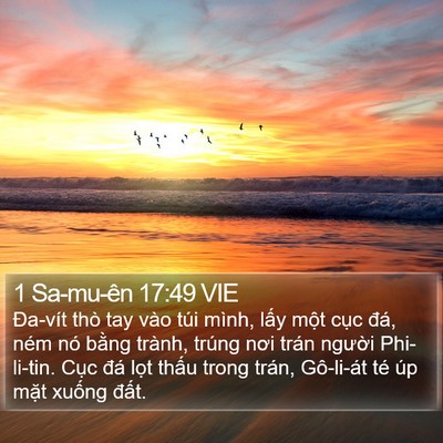 1 Sa-mu-ên 17:49 VIE Bible Verse Image