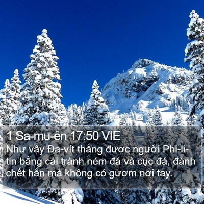 1 Sa-mu-ên 17:50 VIE Bible Verse Image