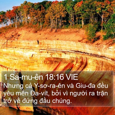 1 Sa-mu-ên 18:16 VIE Bible Verse Image
