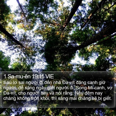 1 Sa-mu-ên 19:11 VIE Bible Verse Image