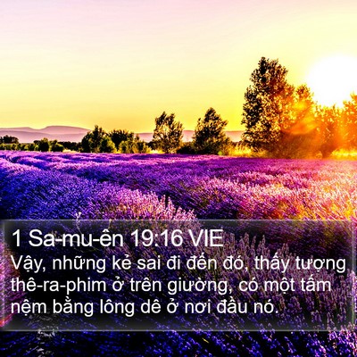 1 Sa-mu-ên 19:16 VIE Bible Verse Image