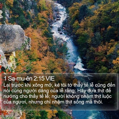 1 Sa-mu-ên 2:15 VIE Bible Verse Image