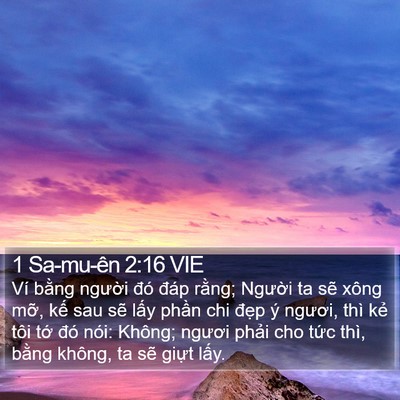 1 Sa-mu-ên 2:16 VIE Bible Verse Image
