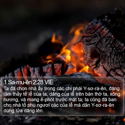 1 Sa-mu-ên 2:28 VIE Bible Verse Image