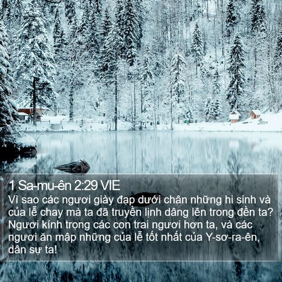 1 Sa-mu-ên 2:29 VIE Bible Verse Image