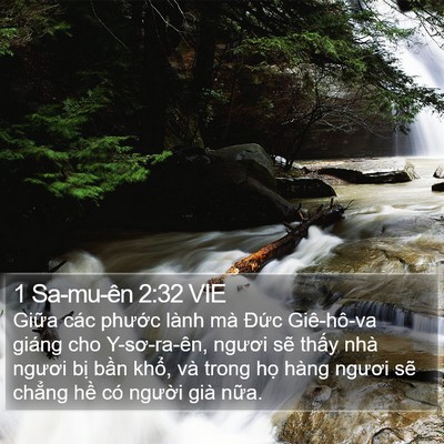 1 Sa-mu-ên 2:32 VIE Bible Verse Image