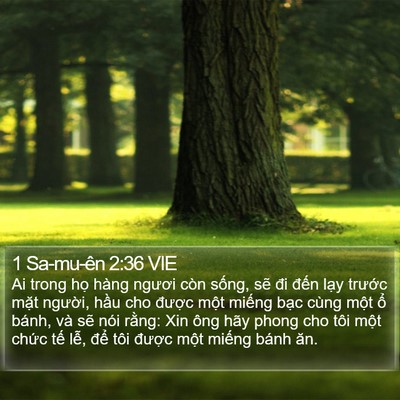 1 Sa-mu-ên 2:36 VIE Bible Verse Image