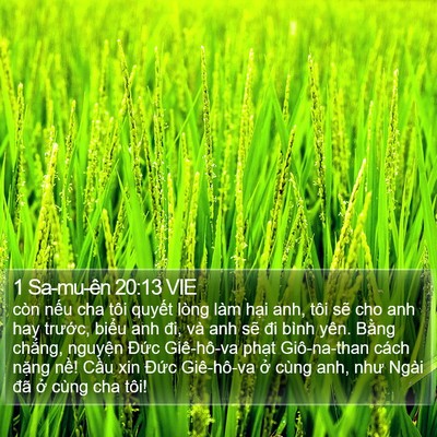 1 Sa-mu-ên 20:13 VIE Bible Verse Image