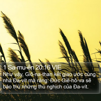 1 Sa-mu-ên 20:16 VIE Bible Verse Image