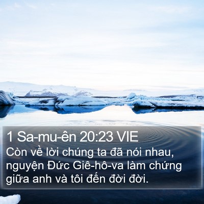 1 Sa-mu-ên 20:23 VIE Bible Verse Image
