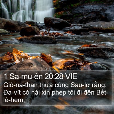 1 Sa-mu-ên 20:28 VIE Bible Verse Image