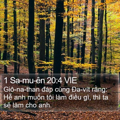 1 Sa-mu-ên 20:4 VIE Bible Verse Image